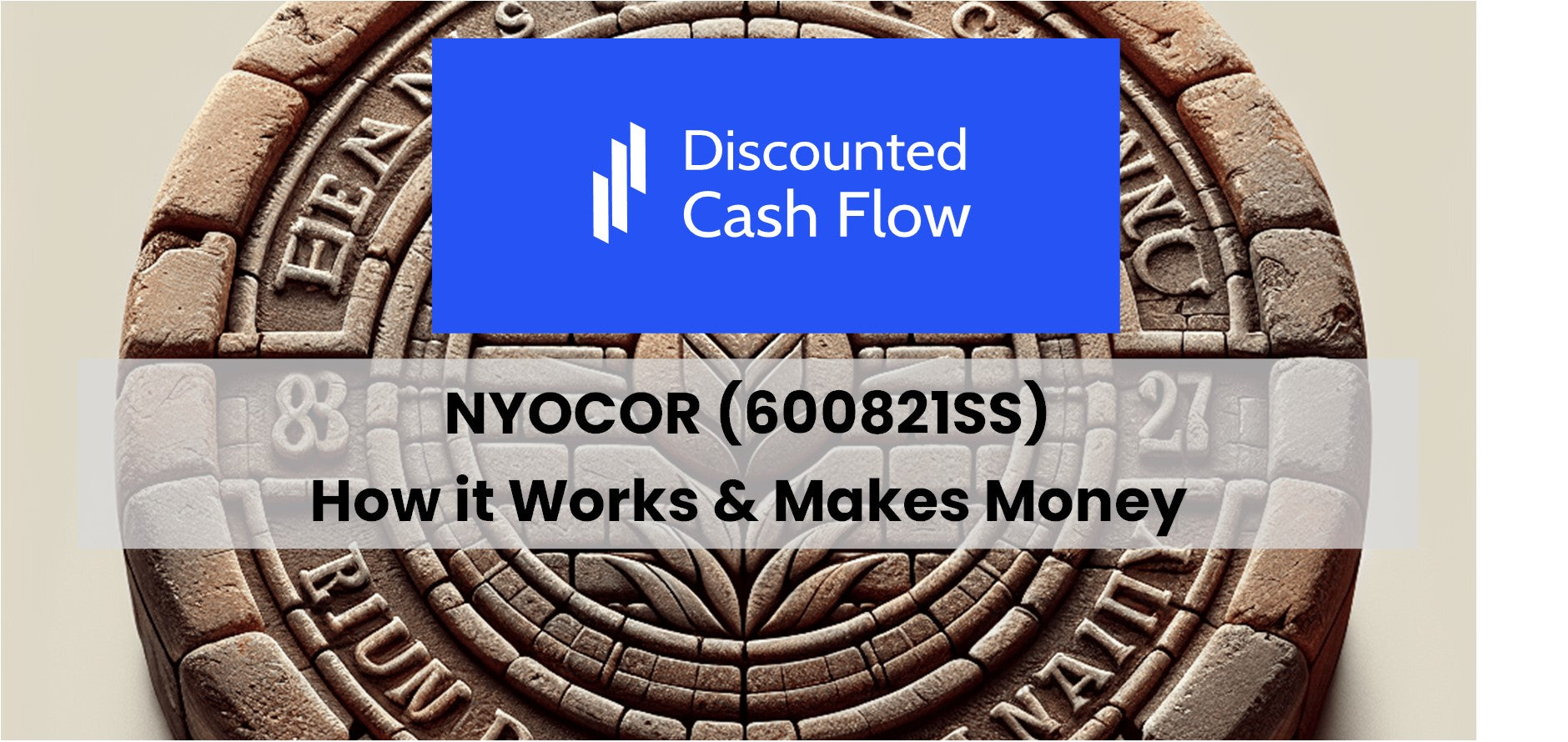 Nyocor (600821ss): History, Ownership, Mission, How It Works & Makes 