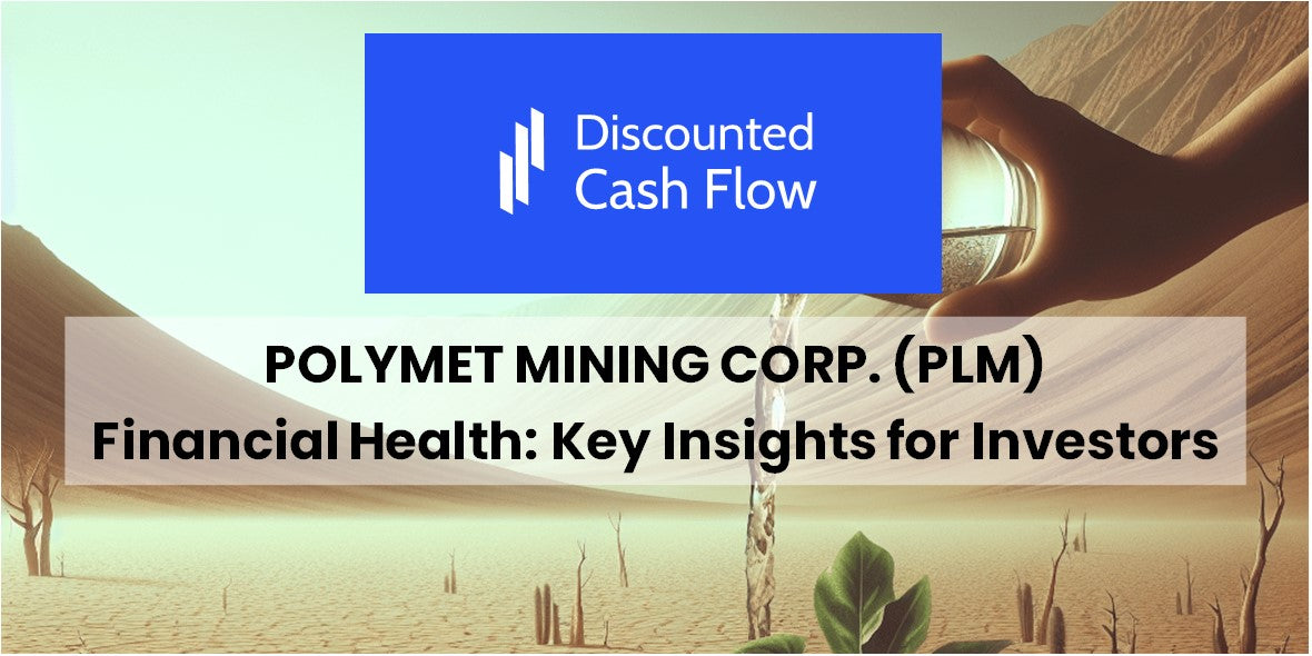 Quebrando A Polymet Mining Corp. (PLM) Saúde Financeira: Insights ...