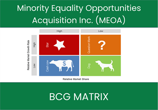 Minority Equality Opportunities Acquisition Inc. (MEOA) BCG Matrix Analysis