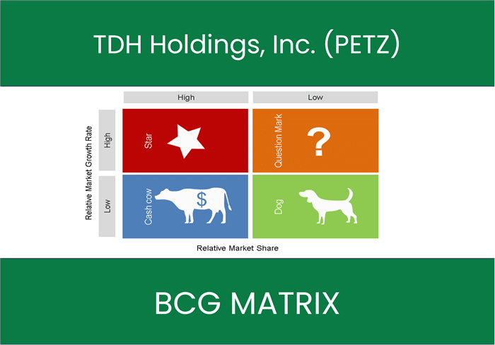 TDH Holdings, Inc. (PETZ) BCG Matrix Analysis