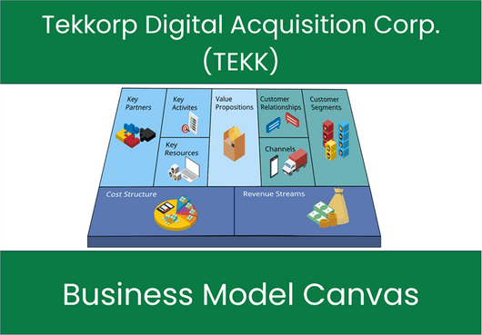 Tekkorp Digital Acquisition Corp. (TEKK): Business Model Canvas