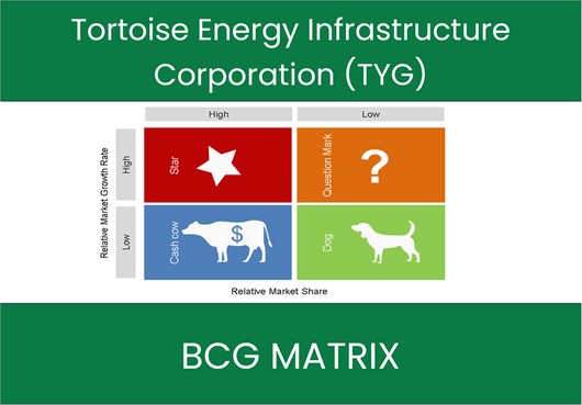 Tortoise Energy Infrastructure Corporation (TYG) BCG Matrix Analysis