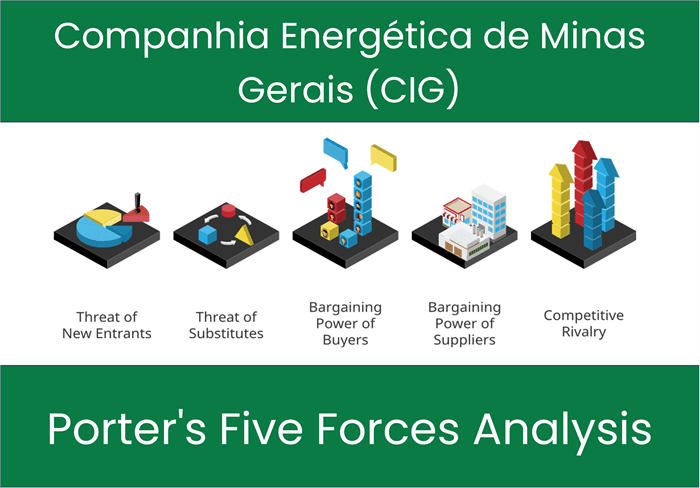 What are the Michael Porter’s Five Forces of Companhia Energética de Minas Gerais (CIG)?