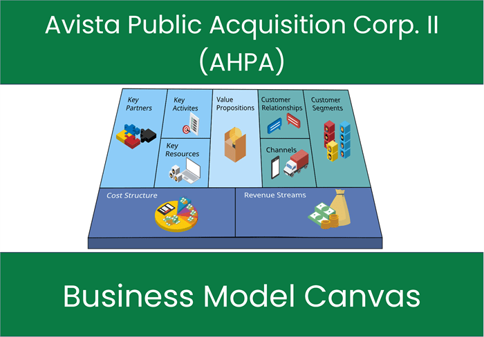 Avista Public Acquisition Corp. II (AHPA): Business Model Canvas