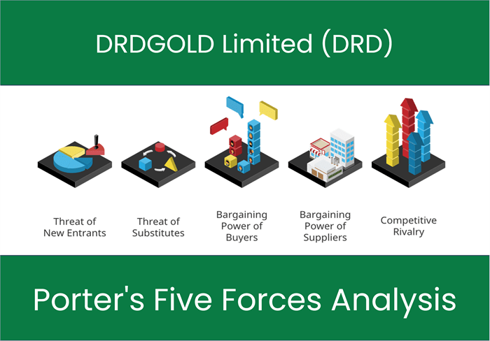 What are the Michael Porter’s Five Forces of DRDGOLD Limited (DRD)?