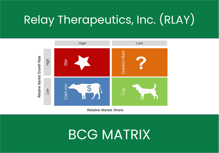 Relay Therapeutics, Inc. (RLAY) BCG Matrix Analysis