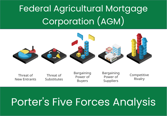 What are the Michael Porter’s Five Forces of Federal Agricultural Mortgage Corporation (AGM)?