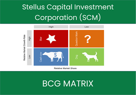 Stellus Capital Investment Corporation (SCM) BCG Matrix Analysis