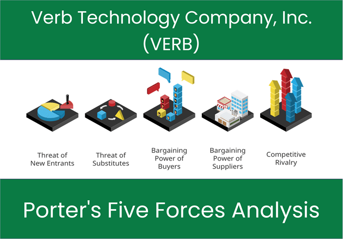 What are the Michael Porter’s Five Forces of Verb Technology Company, Inc. (VERB)?