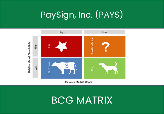 PaySign, Inc. (PAYS) BCG Matrix Analysis