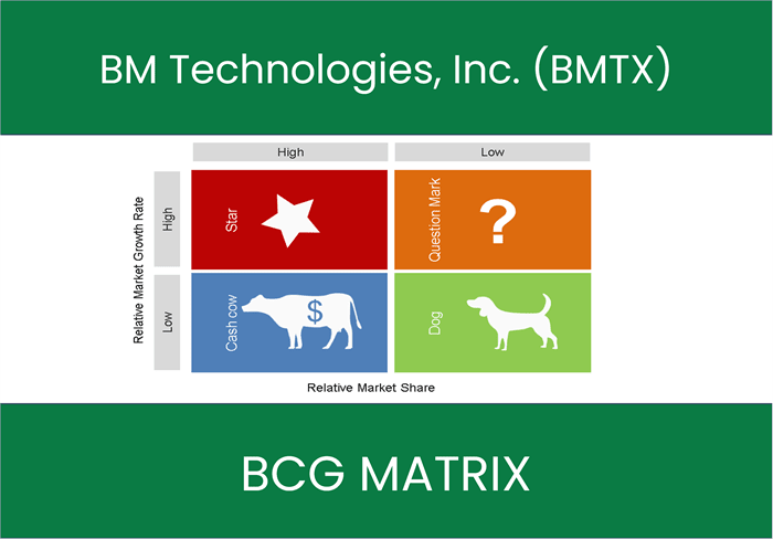 BM Technologies, Inc. (BMTX) BCG Matrix Analysis