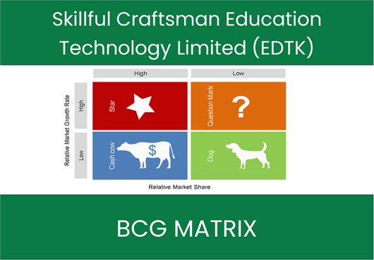Skillful Craftsman Education Technology Limited (EDTK) BCG Matrix Analysis