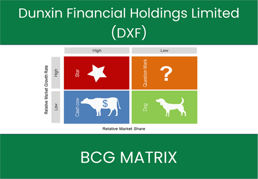Dunxin Financial Holdings Limited (DXF) BCG Matrix Analysis
