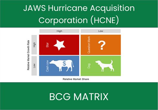 JAWS Hurricane Acquisition Corporation (HCNE) BCG Matrix Analysis