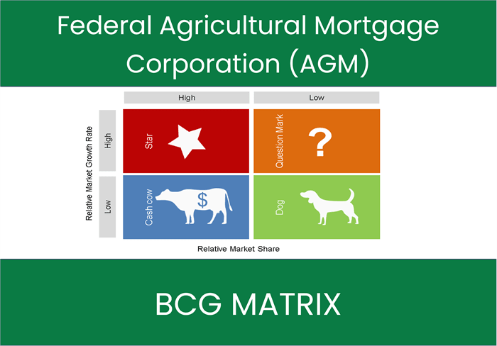 Federal Agricultural Mortgage Corporation (AGM) BCG Matrix Analysis