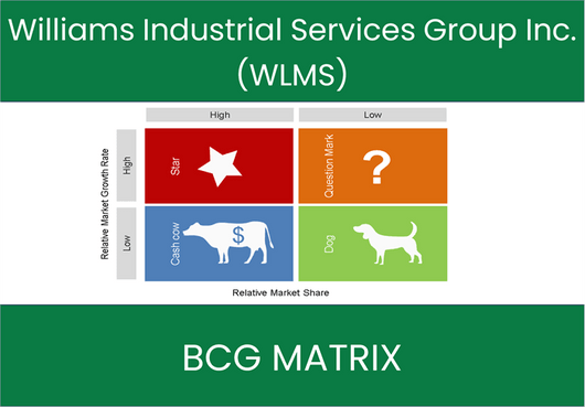 Williams Industrial Services Group Inc. (WLMS) BCG Matrix Analysis