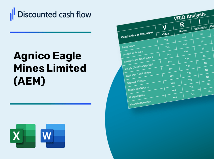 Agnico Eagle Mines Limited (AEM): VRIO Analysis [10-2024 Updated]