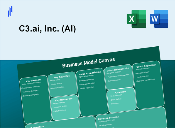 C3.ai, Inc. (AI): Business Model Canvas