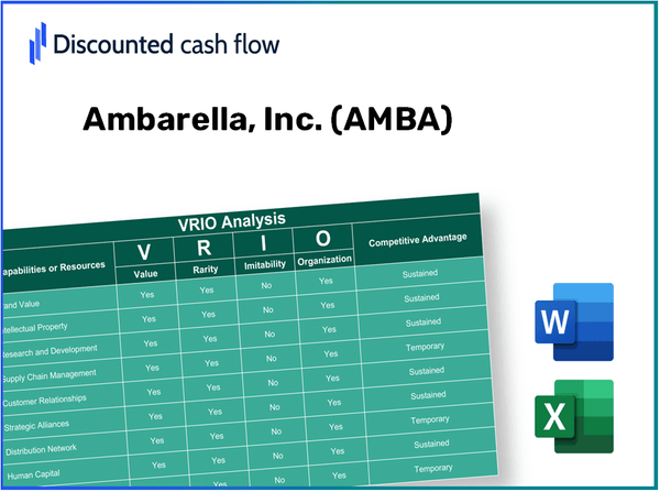 Ambarella, Inc. (AMBA): VRIO Analysis [10-2024 Updated]