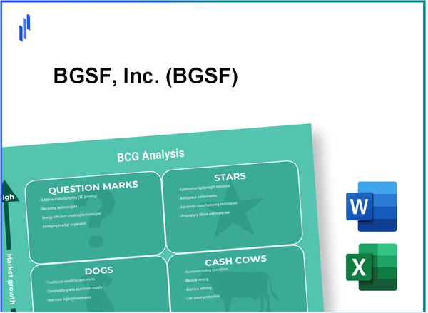 BGSF, Inc. (BGSF) BCG Matrix Analysis