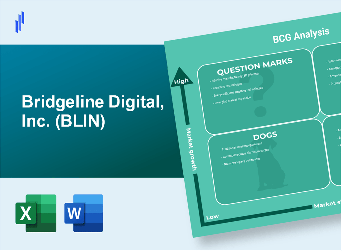 Bridgeline Digital, Inc. (BLIN) BCG Matrix Analysis