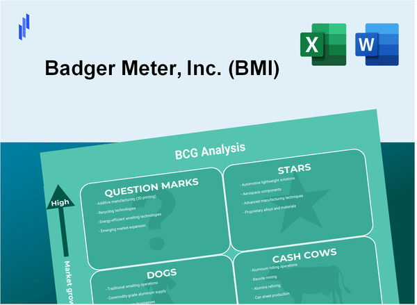 Badger Meter, Inc. (BMI) BCG Matrix Analysis