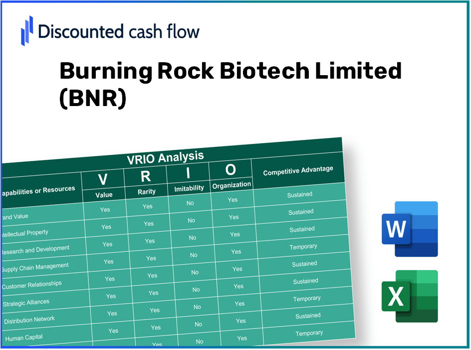 Burning Rock Biotech Limited (BNR): VRIO Analysis [10-2024 Updated]