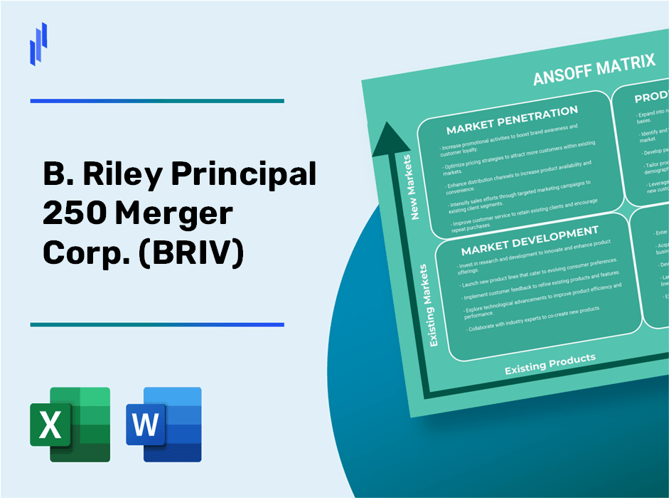 B. Riley Principal 250 Merger Corp. (BRIV)Ansoff Matrix