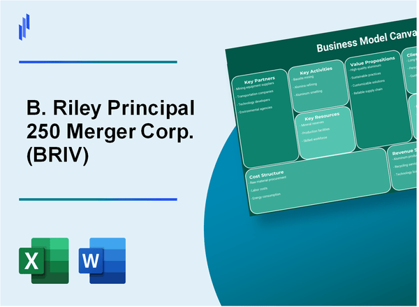 B. Riley Principal 250 Merger Corp. (BRIV): Business Model Canvas