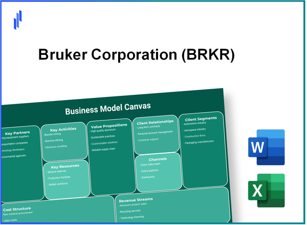 Bruker Corporation (BRKR): Business Model Canvas