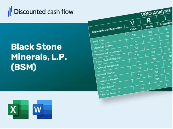 Black Stone Minerals, L.P. (BSM): VRIO Analysis [10-2024 Updated]