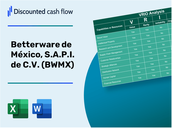 Betterware de México, S.A.P.I. de C.V. (BWMX): VRIO Analysis [10-2024 Updated]