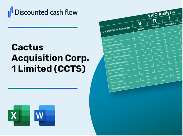 Cactus Acquisition Corp. 1 Limited (CCTS): VRIO Analysis [10-2024 Updated]