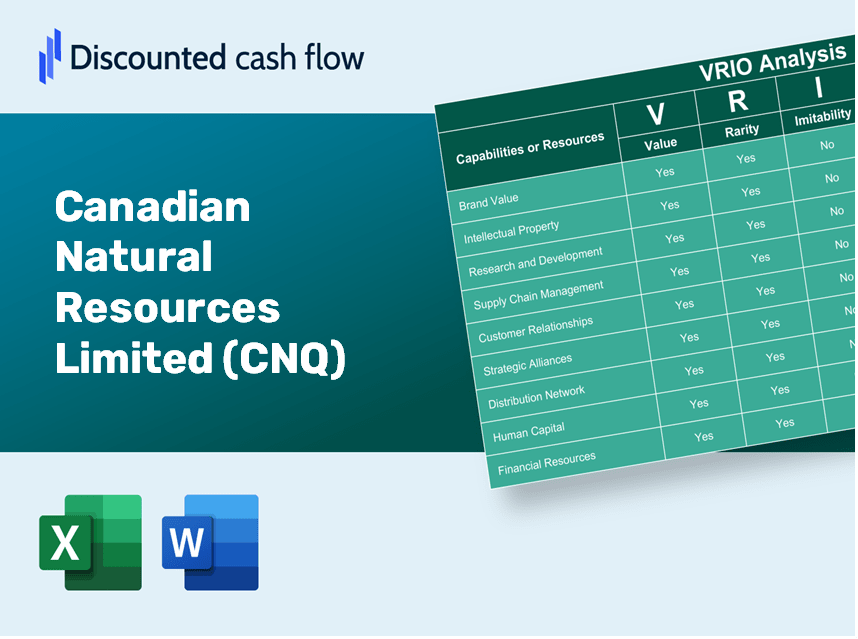 Canadian Natural Resources Limited (CNQ): VRIO Analysis [10-2024 Updated]