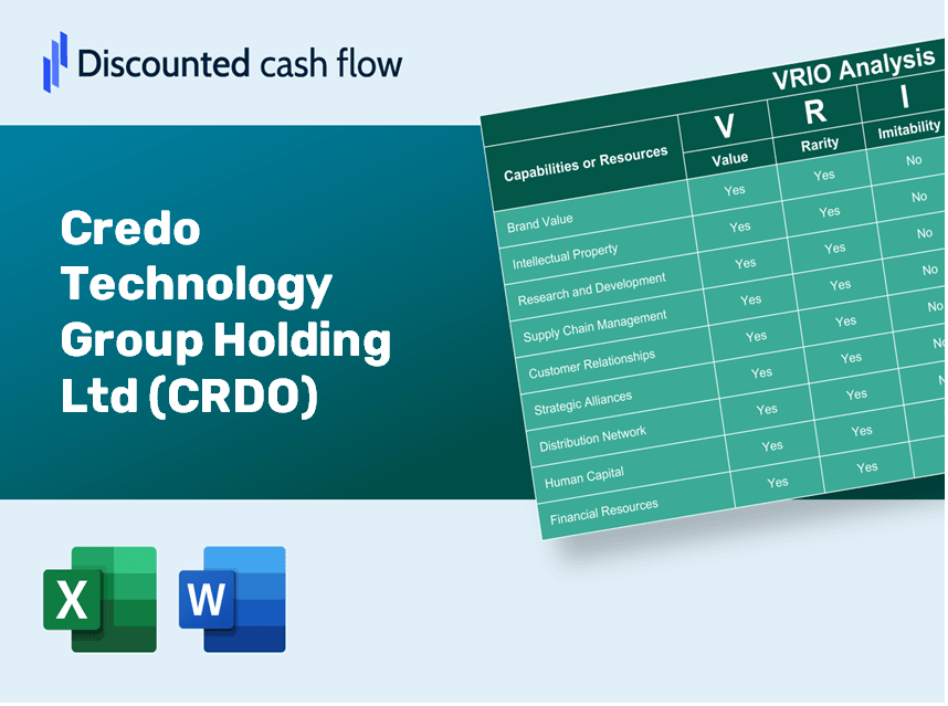 Credo Technology Group Holding Ltd (CRDO): VRIO Analysis [10-2024 Updated]