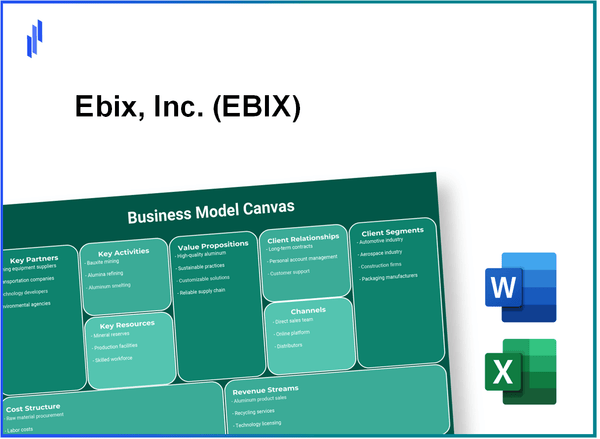 Ebix, Inc. (EBIX): Business Model Canvas