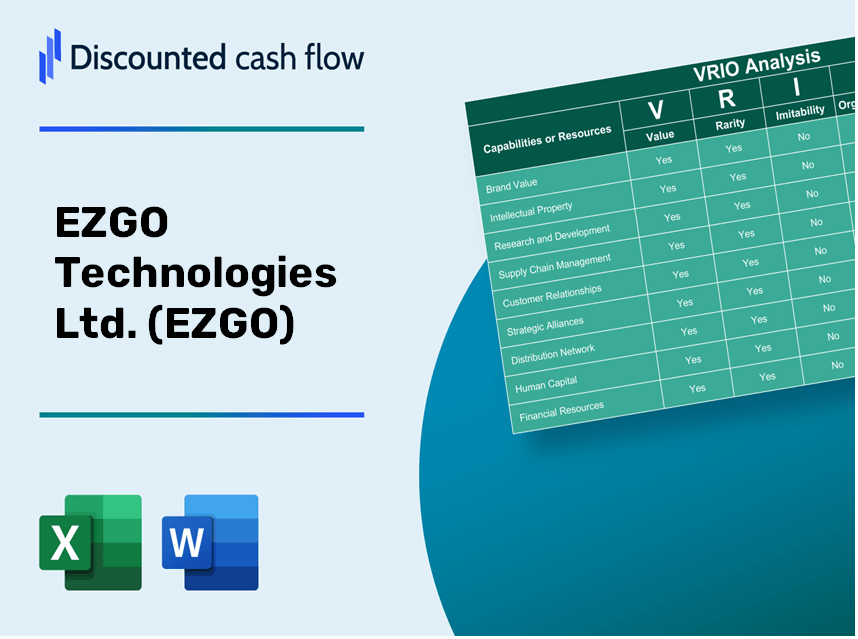 EZGO Technologies Ltd. (EZGO): VRIO Analysis [10-2024 Updated]