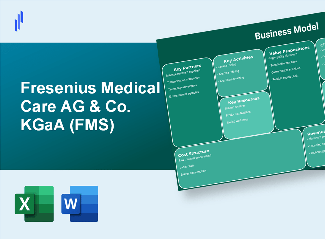 Fresenius Medical Care AG & Co. KGaA (FMS): Business Model Canvas