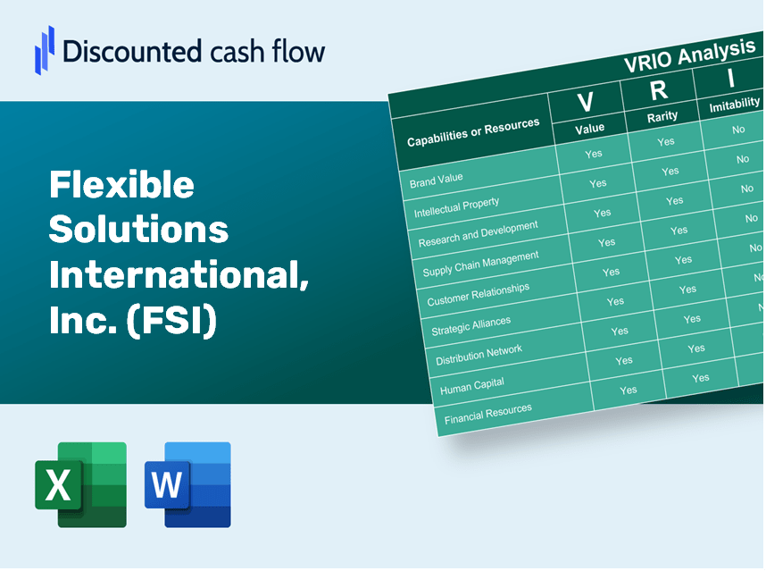 Flexible Solutions International, Inc. (FSI): VRIO Analysis [10-2024 Updated]