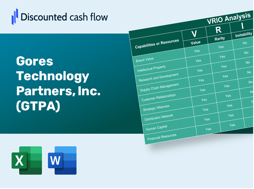 Gores Technology Partners, Inc. (GTPA): VRIO Analysis [10-2024 Updated]