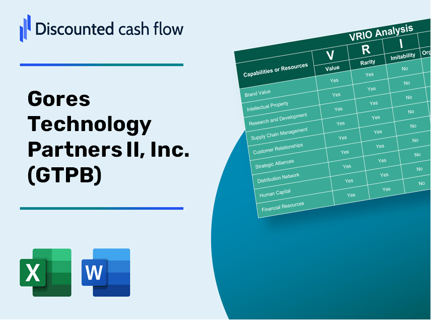 Gores Technology Partners II, Inc. (GTPB): VRIO Analysis [10-2024 Updated]