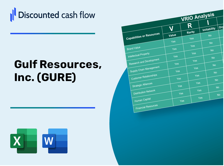 Gulf Resources, Inc. (GURE): VRIO Analysis [10-2024 Updated]