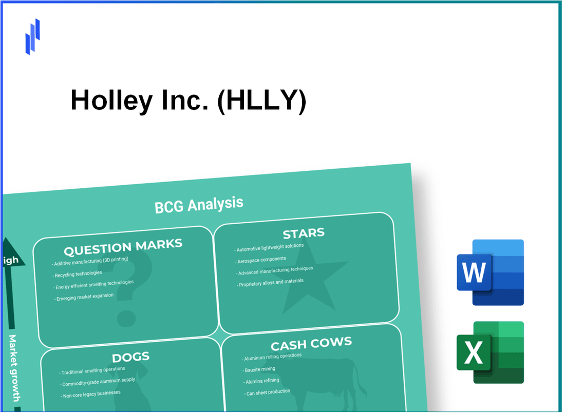 Holley Inc. (HLLY) BCG Matrix Analysis