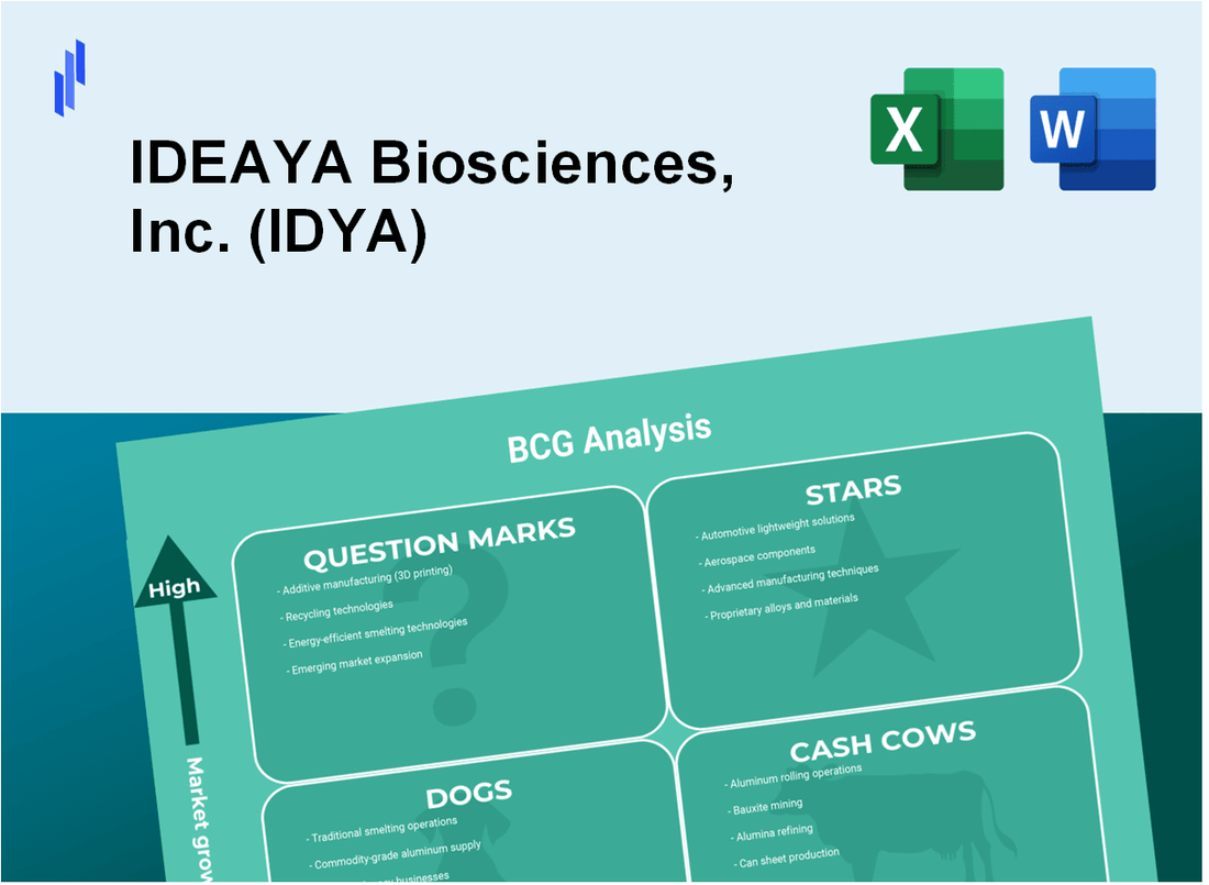 IDEAYA Biosciences, Inc. (IDYA) BCG Matrix Analysis