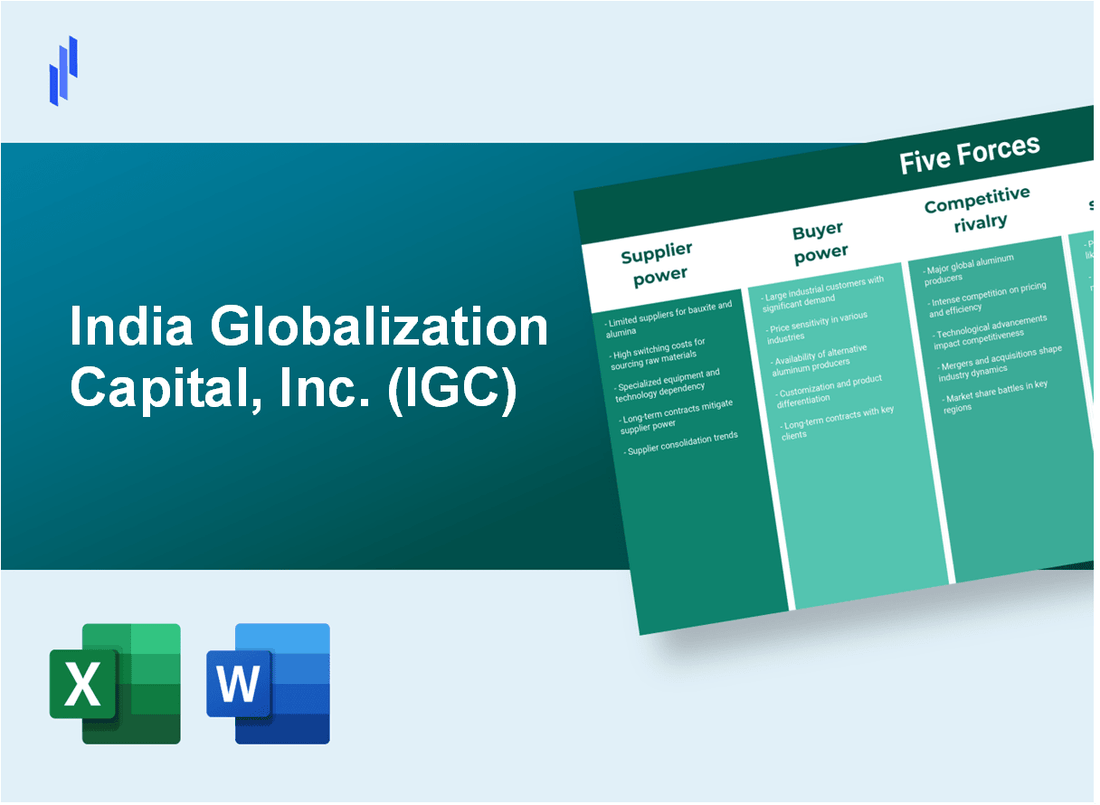 What are the Porter’s Five Forces of India Globalization Capital, Inc. (IGC)?