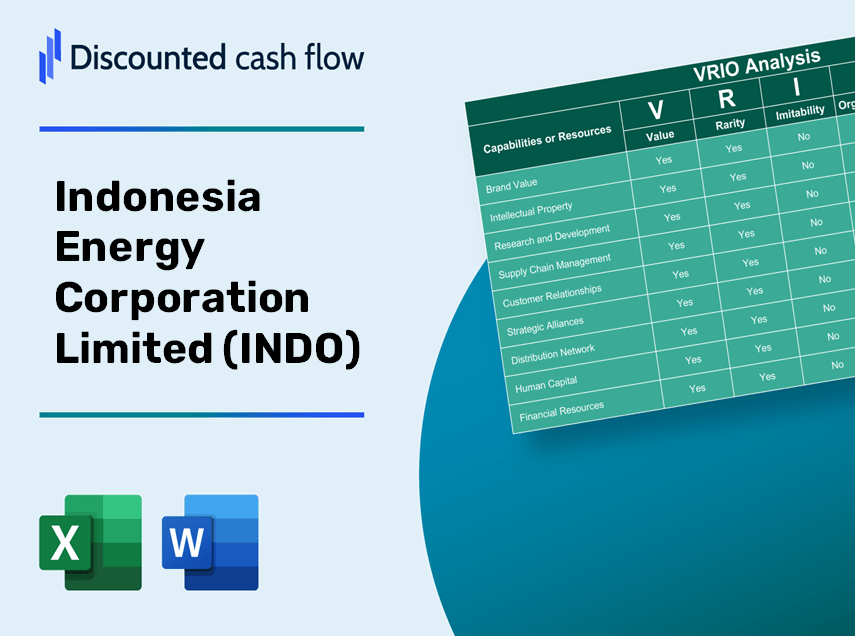 Indonesia Energy Corporation Limited (INDO): VRIO Analysis [10-2024 Updated]