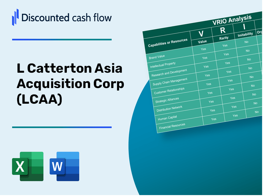 L Catterton Asia Acquisition Corp (LCAA): VRIO Analysis [10-2024 Updated]