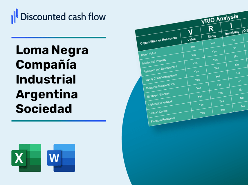 Loma Negra Compañía Industrial Argentina Sociedad Anónima (LOMA): VRIO Analysis [10-2024 Updated]