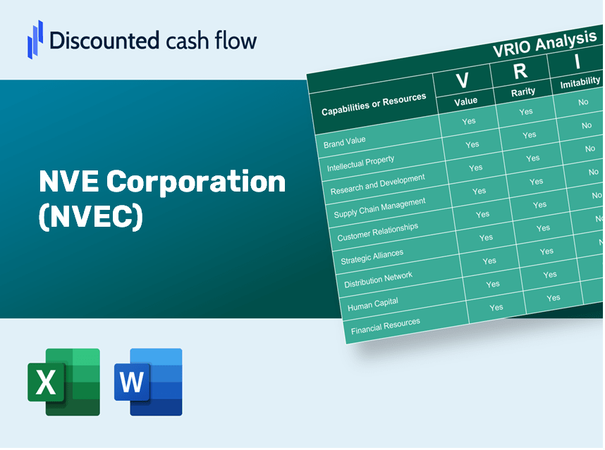 NVE Corporation (NVEC): VRIO Analysis [10-2024 Updated]