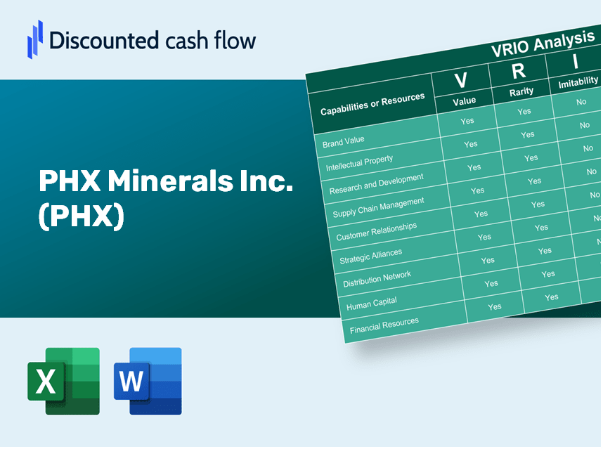 PHX Minerals Inc. (PHX): VRIO Analysis [10-2024 Updated]